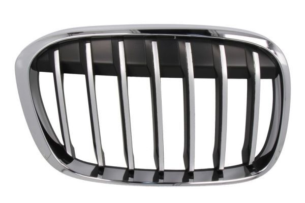 Bmw Ventilatiegrille, bumper