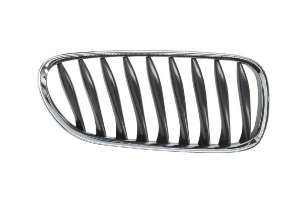 Bmw Radiateurgrille