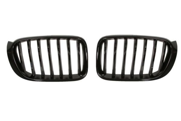 Bmw Radiateurgrille