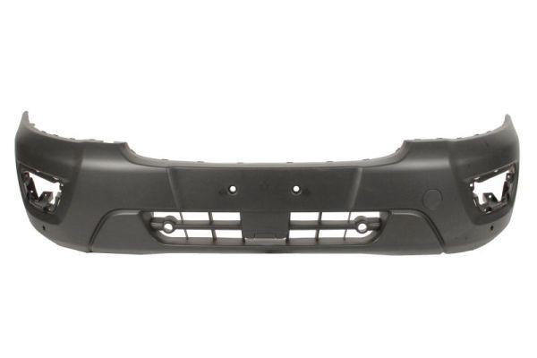 Ford Bumper