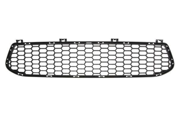 Bmw Plaat, bumper