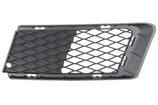 Bmw Ventilatiegrille, bumper