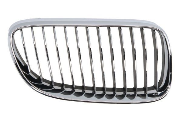 Bmw Radiateurgrille