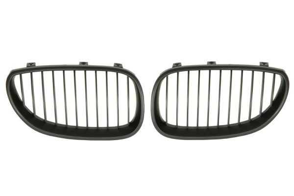 Bmw Radiateurgrille