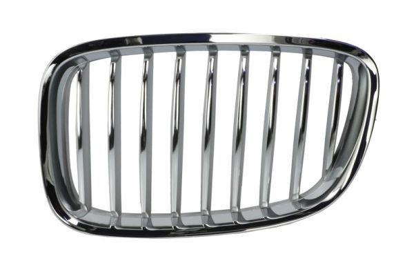Bmw Radiateurgrille