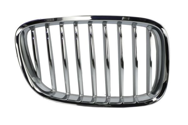 Bmw Radiateurgrille