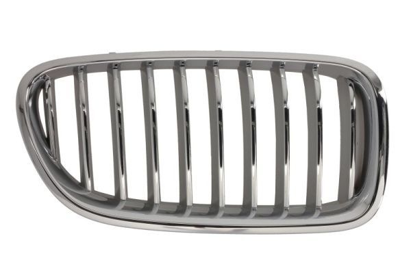 Bmw Radiateurgrille