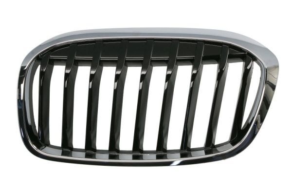 Bmw Radiateurgrille
