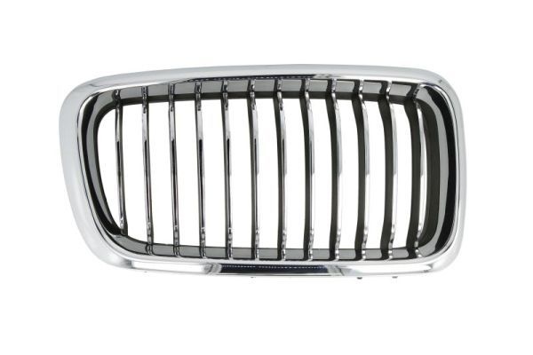 Bmw Radiateurgrille