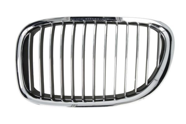 Bmw Radiateurgrille