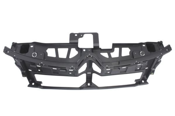 Citroen Radiateurgrille