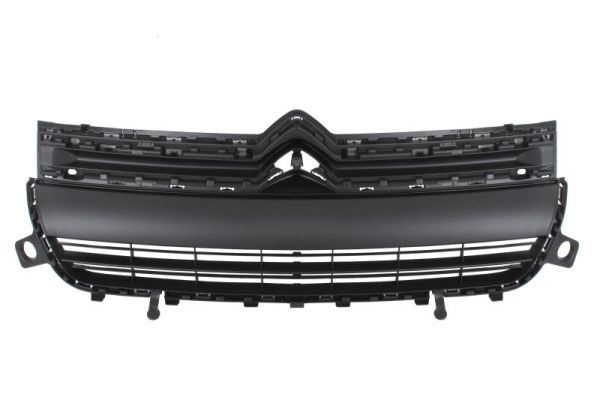 Citroen Radiateurgrille