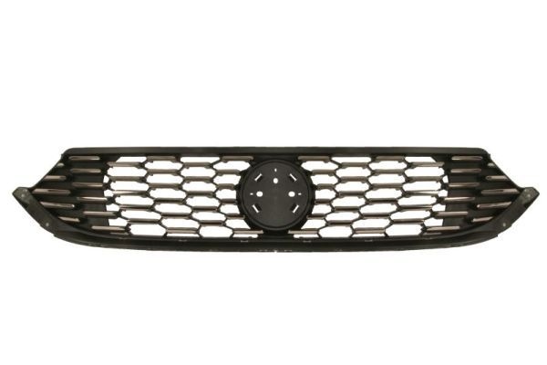 Fiat Radiateurgrille