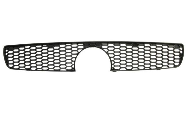 Fiat Radiateurgrille