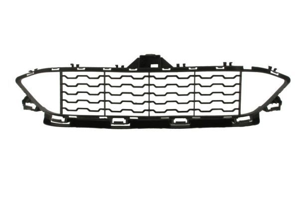 Bmw Ventilatiegrille, bumper