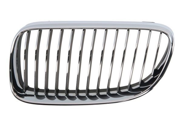 Bmw Radiateurgrille