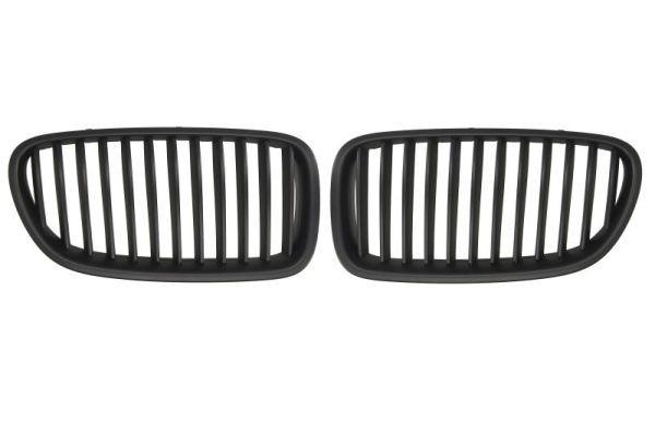 Bmw Radiateurgrille
