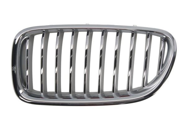 Bmw Radiateurgrille