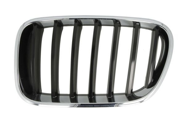 Bmw Radiateurgrille