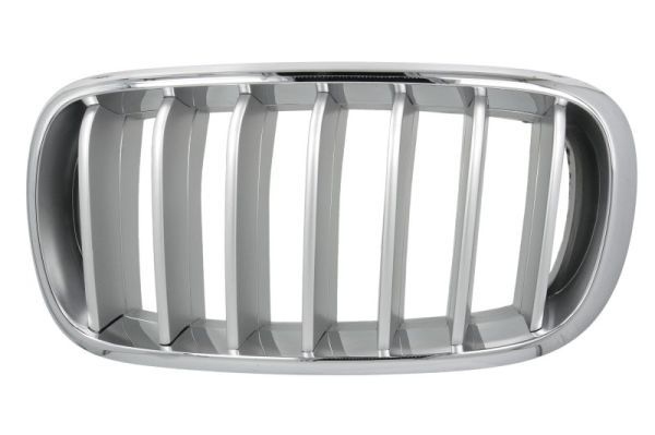Bmw Radiateurgrille