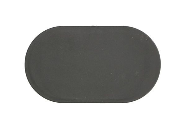Bmw Ventilatiegrille, bumper