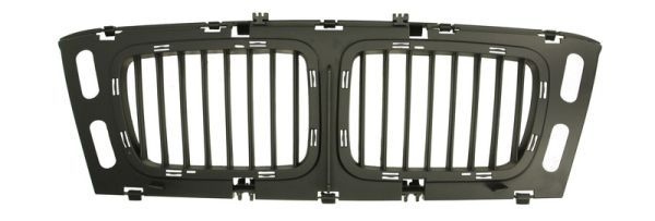 Bmw Radiateurgrille