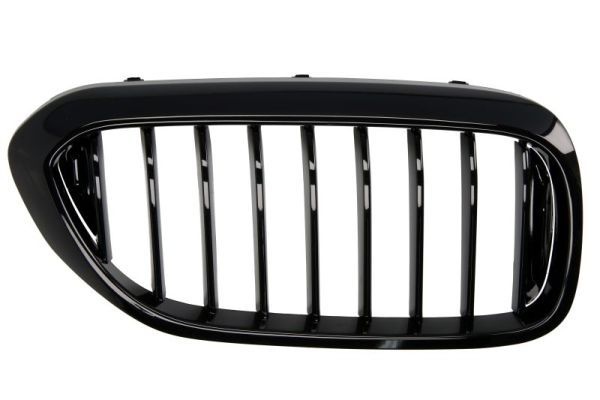 Bmw Radiateurgrille