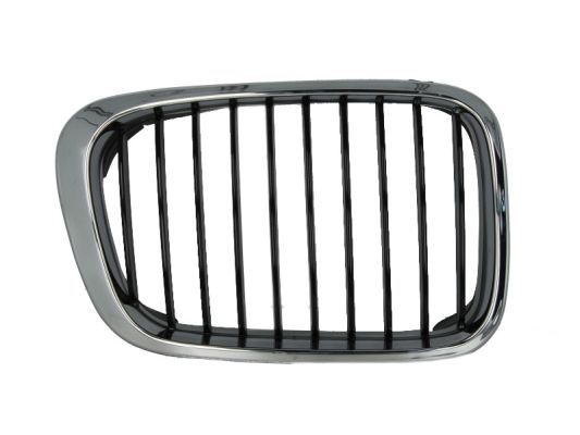 Bmw Radiateurgrille