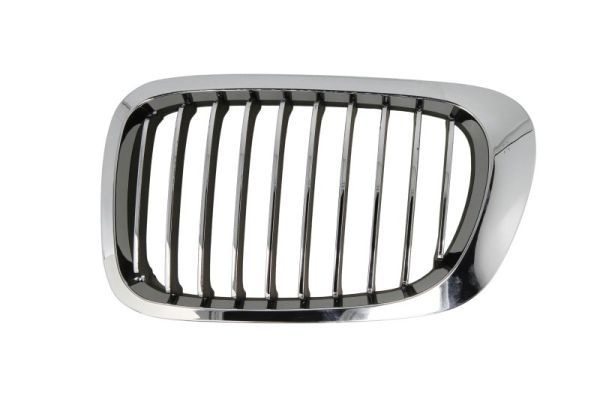 Bmw Radiateurgrille