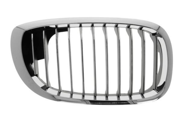 Bmw Radiateurgrille