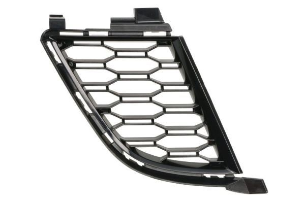 Bmw Ventilatiegrille, bumper