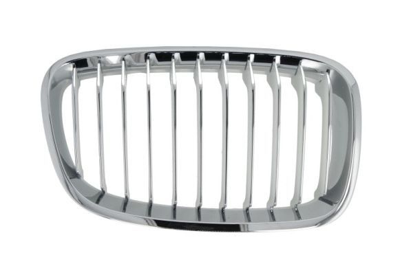 Bmw Radiateurgrille