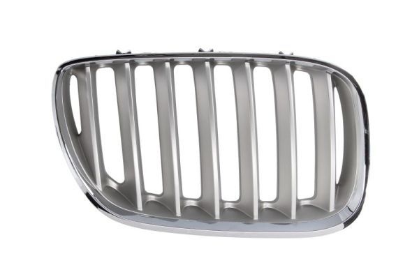 Bmw Radiateurgrille