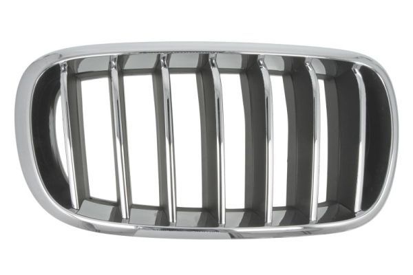 Bmw Radiateurgrille