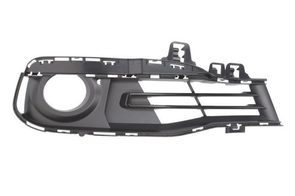 Bmw Ventilatiegrille, bumper