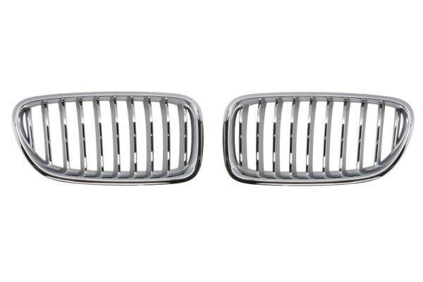 Bmw Radiateurgrille