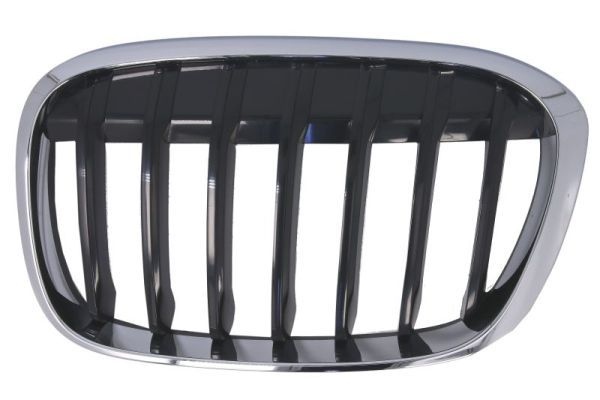 Bmw Radiateurgrille