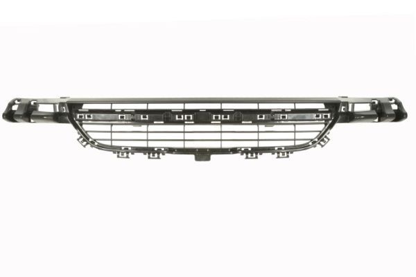 Bmw Ventilatiegrille, bumper