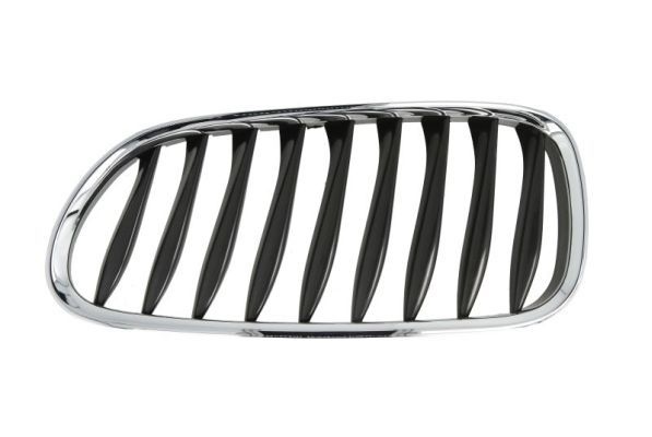 Bmw Radiateurgrille