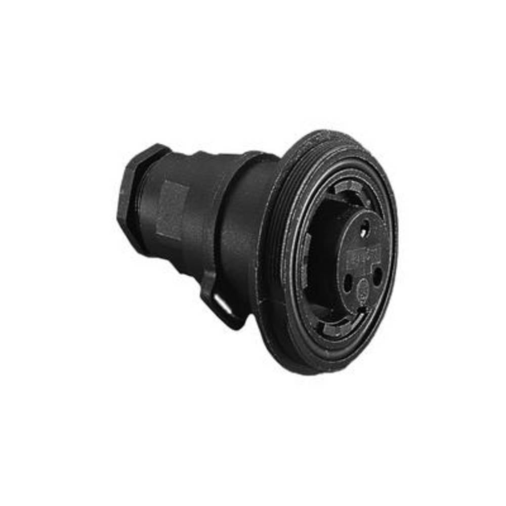 Bulgin PX0795/P Bulk 1 stuk(s)