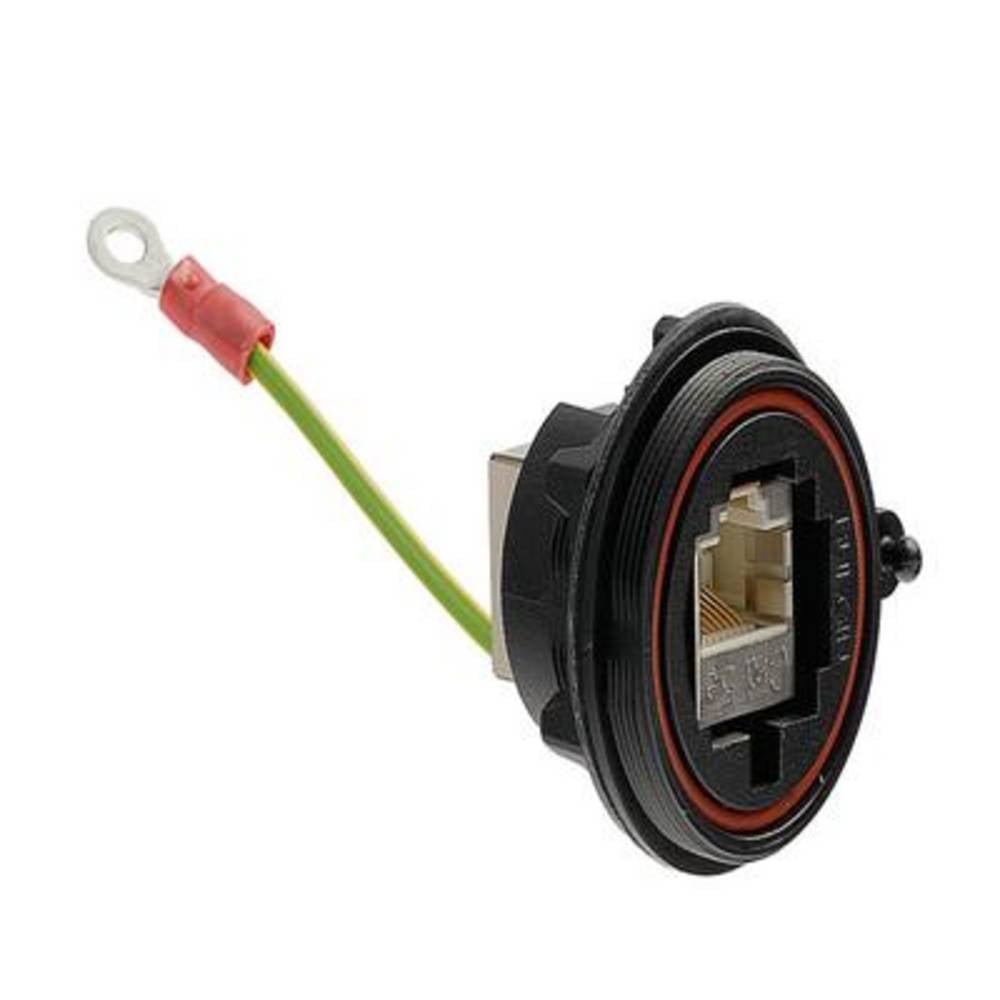 Bulgin PX0833/E Box 1 stuk(s)