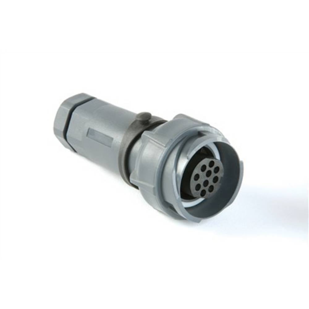 Bulgin PXP7011/06S/ST/1113 Bulk 1 stuk(s)