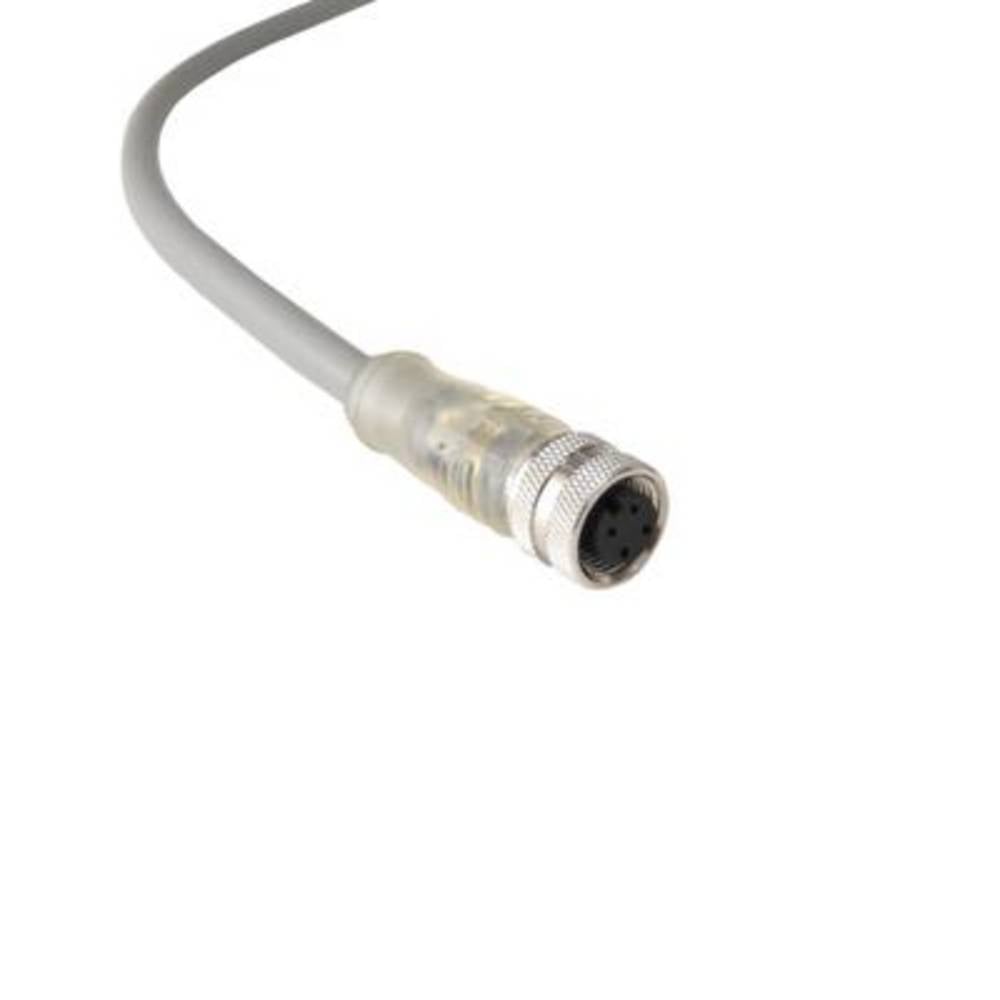 Bulgin PXPPNP12FBF04ACL050PVC Box 1 stuk(s)