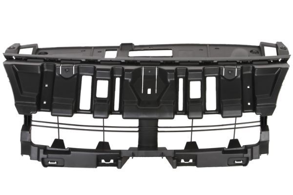 Renault Radiateurgrille