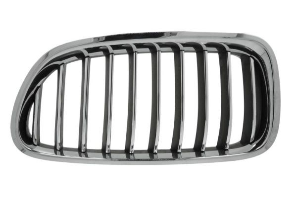 Bmw Radiateurgrille