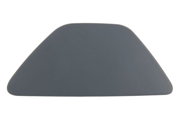Bmw Plaat, bumper