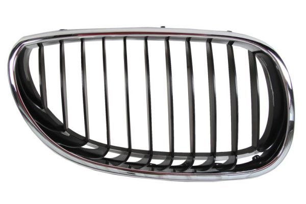 Bmw Radiateurgrille