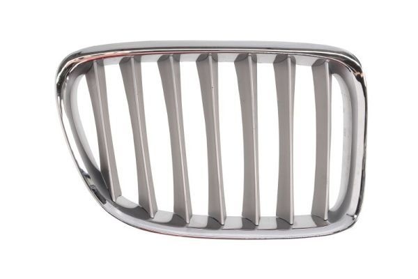 Bmw Radiateurgrille