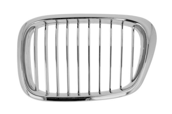 Bmw Radiateurgrille