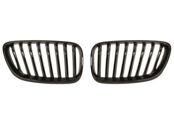 Bmw Radiateurgrille